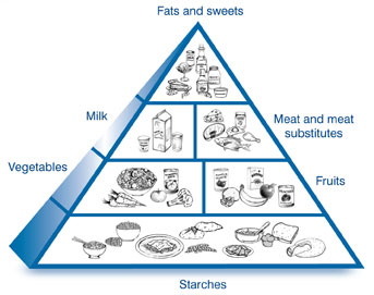 Food Pyramid